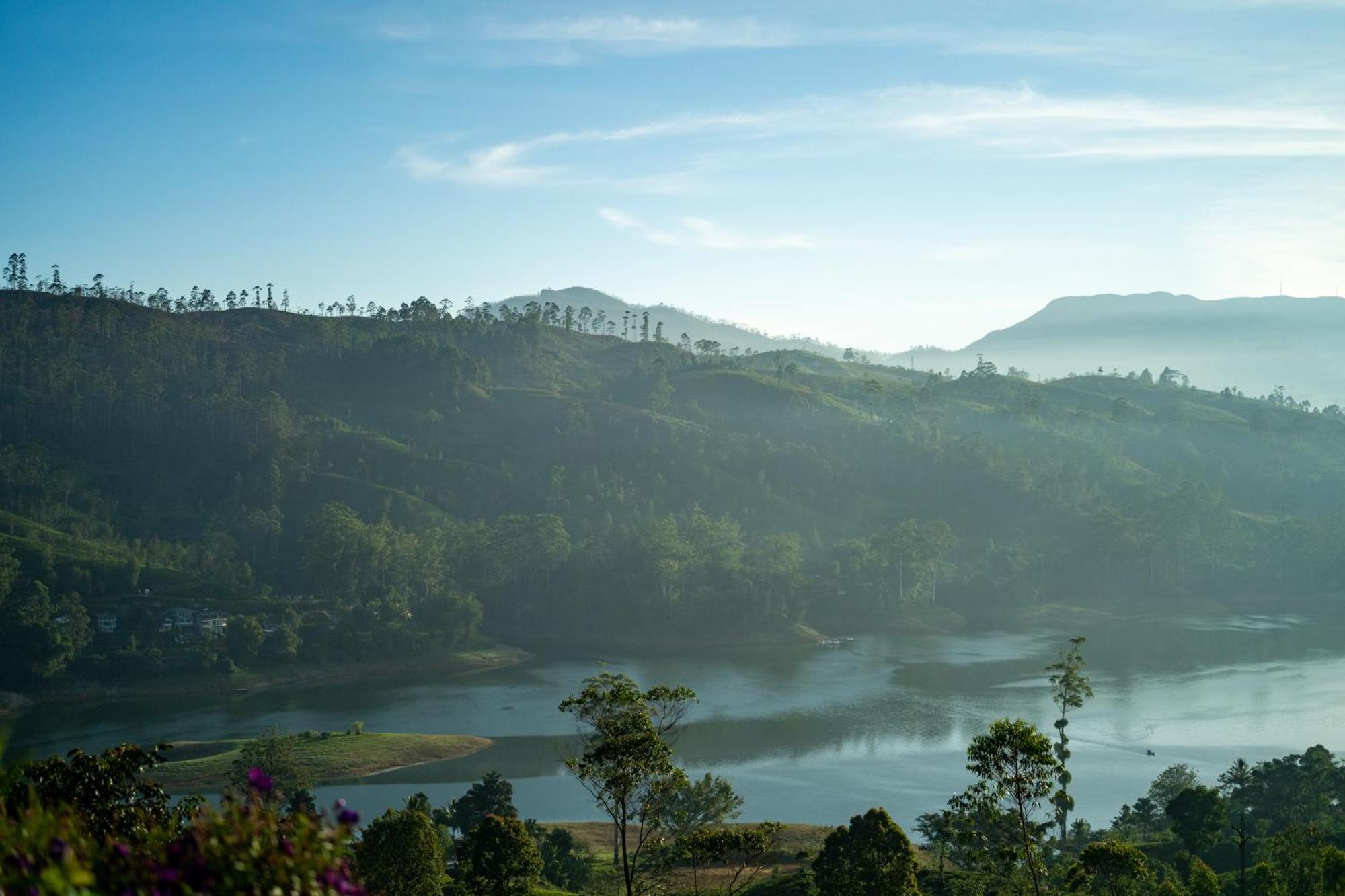Camellia Hills Hotel Hatton Ngoại thất bức ảnh