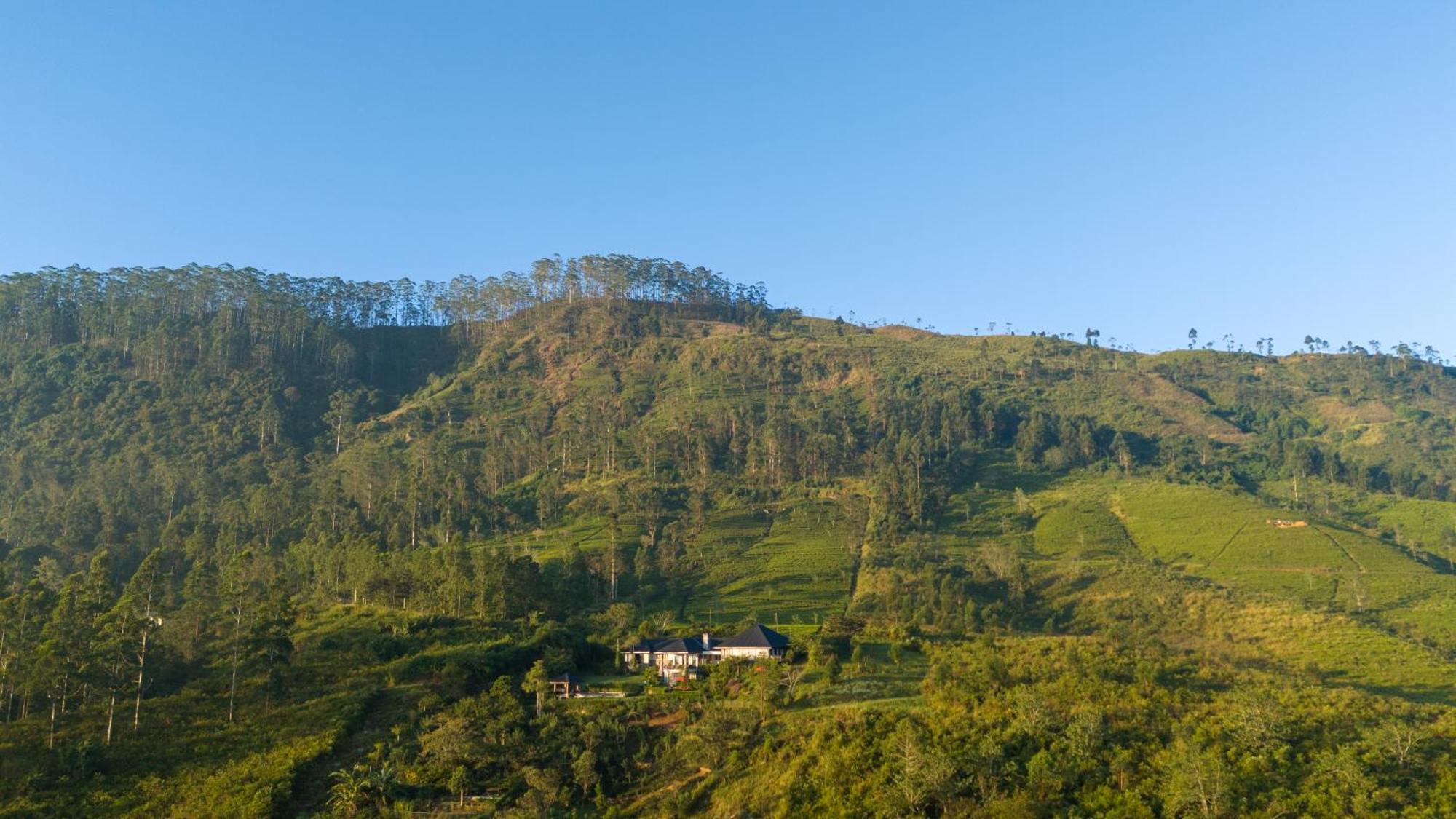 Camellia Hills Hotel Hatton Ngoại thất bức ảnh